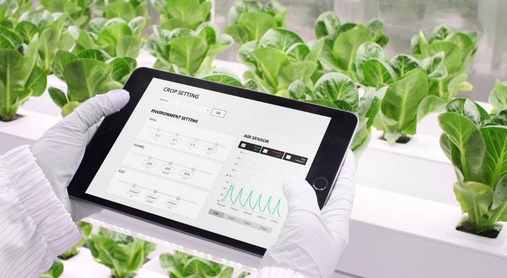 N.THING, the Seoul-Based Agri-Tech Company Joins GITEX 2021 to Exhibit Its Innovative Vertical Farming Technology
