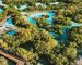 Emirates NBD to plant 3,000 trees surrounding Jubail Mangrove Park in Abu Dhabi