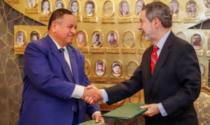 Arab-Brazilian Chamber of Commerce, Egyptian Customs establish electronic link